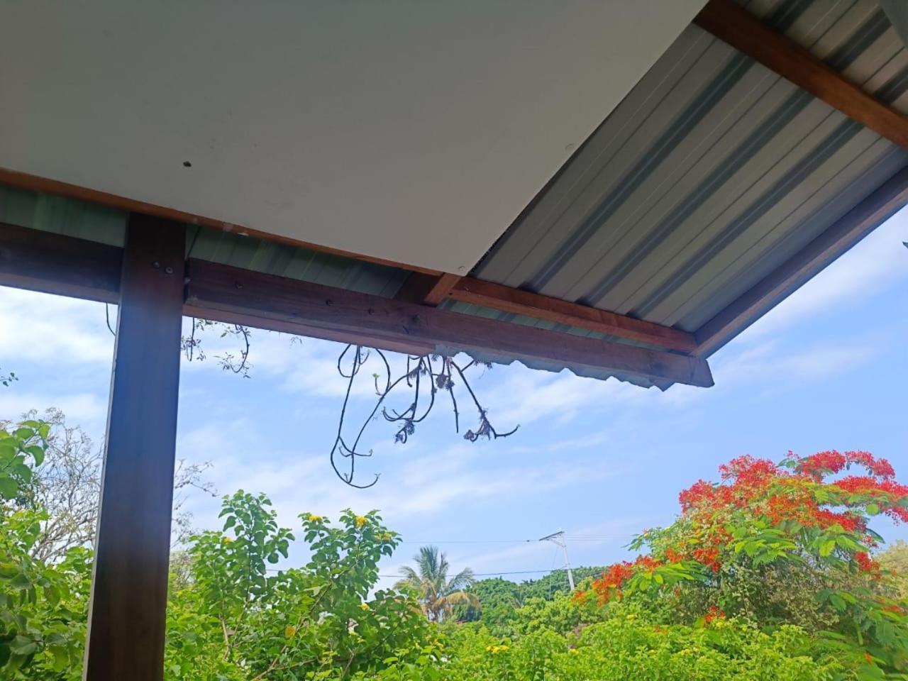 Galapagos Verde Azul Puerto Ayora  Zewnętrze zdjęcie